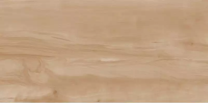 Paint Wood Bone Gloss 60x120