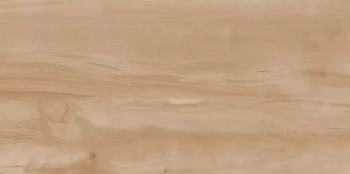Paint Wood Bone Gloss 60x120