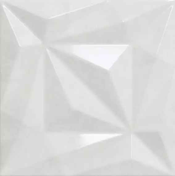 Palais Shadow 25*25