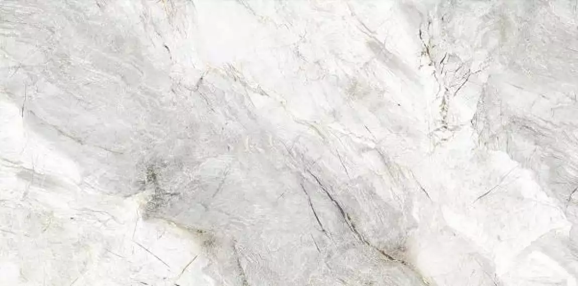 Palissandro White Glossy 60x120