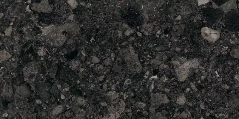 Palladino Anthracite 60x120