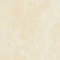Palladio beige PG 03 v2 45х45
