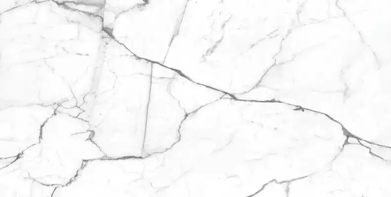 Pallisandro Nero / Паллисандро неро LLR 120x60