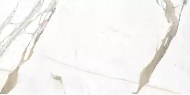 Pallisandro Oro / Паллисандро оро SR 120x60