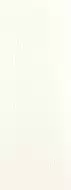 Palm White matt 45x120