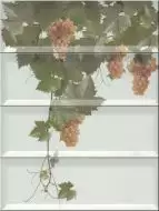 Panno Moscatel Blanco 40x30