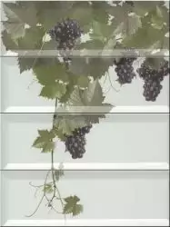 Panno Tempranillo Blanco 40x30