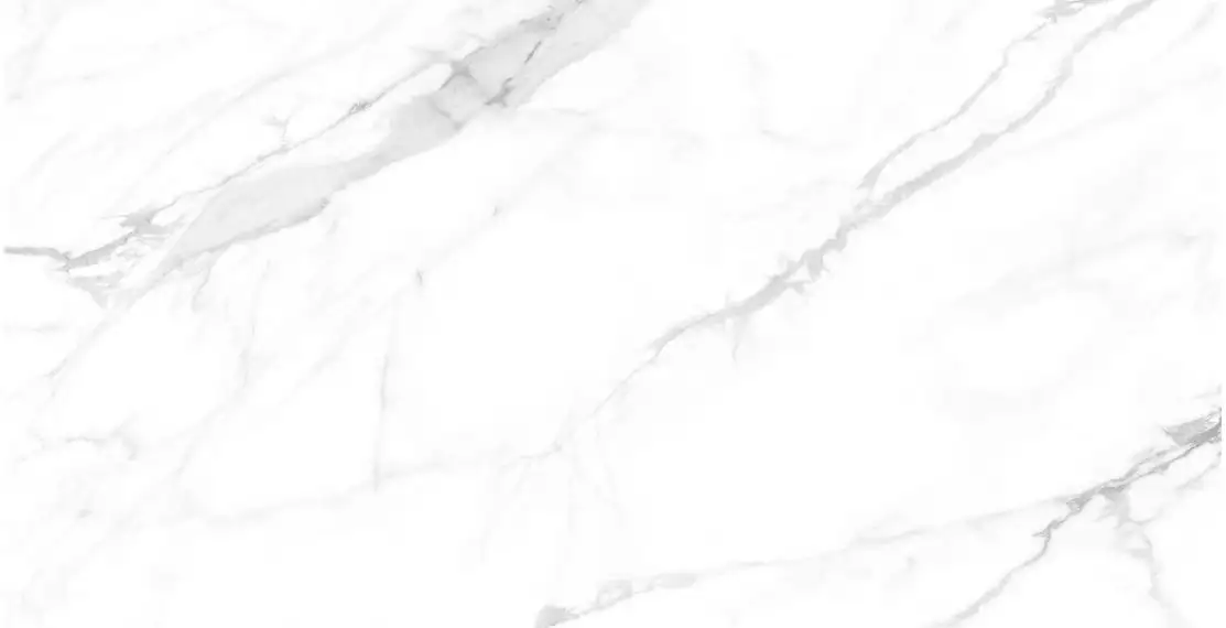 Paola Bianco Polished 60x120
