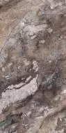 Paradise Quarry Brown Polished Rec. 60x120