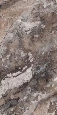 Paradise Quarry Brown Polished Rec. 60x120