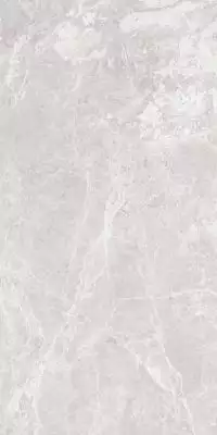 Paradise Silver Glossy 600x1200