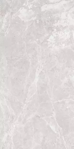 Paradise Silver Glossy 600x1200