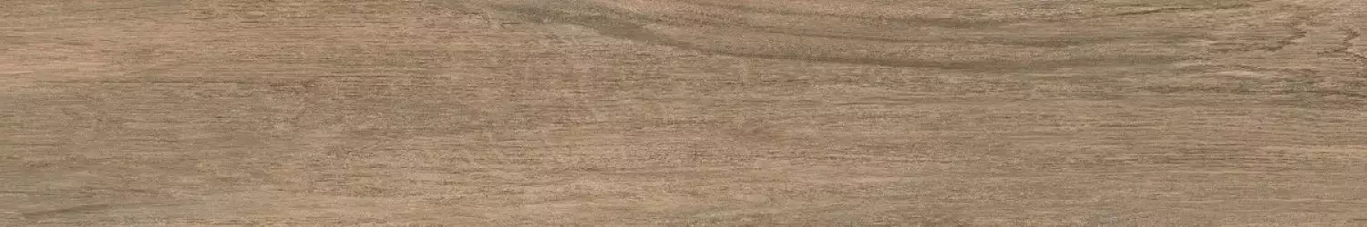 Paramo-R Beige 19.2x119.3