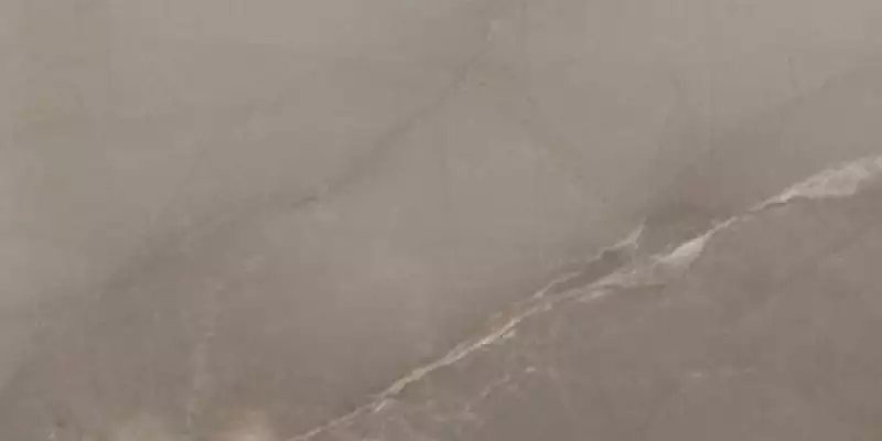 Passion Lux Taupe 60*120