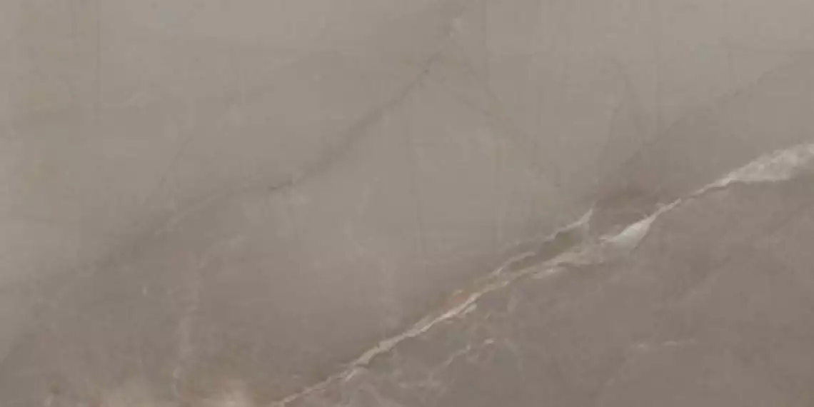 Passion Lux Taupe 60*120