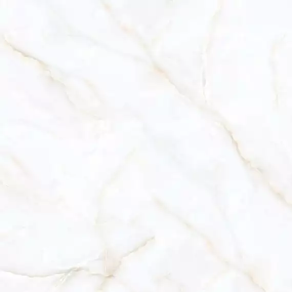Passion white onyx polished 120x120