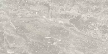 Pav. NEBULA LUX SILVER 60*120