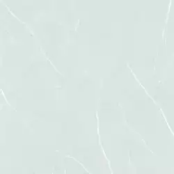 Pav. PRE 311 60x60