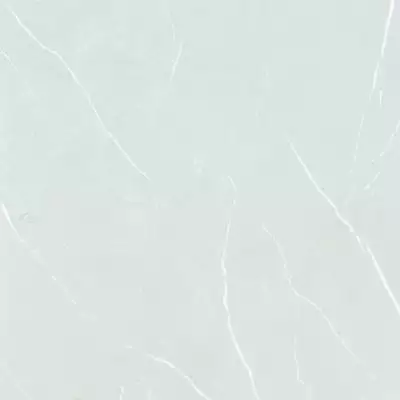 Pav. PRE 311 60x60