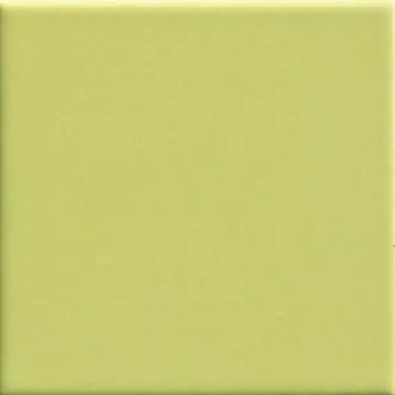 Pav. Verde 450 20x20