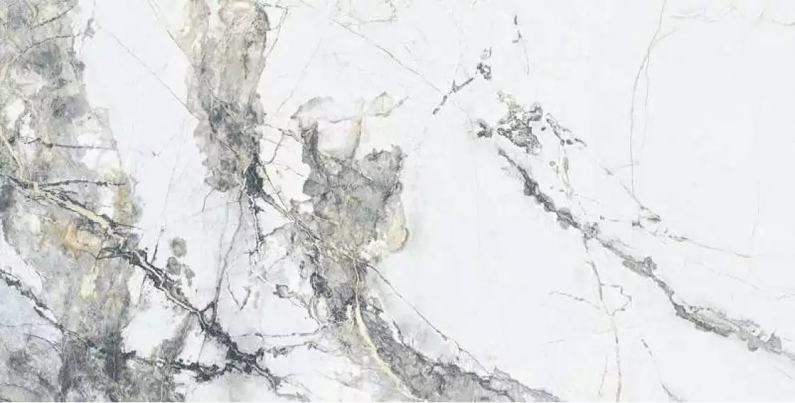 Pelledium Marble 60x120
