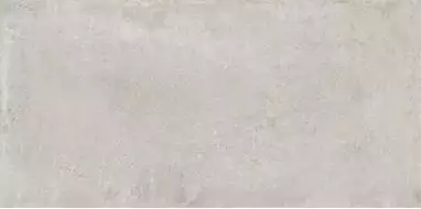 Perla Light Grey / Перла светло-серый LLR 120x60