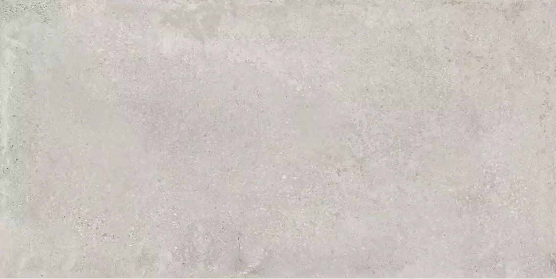 Perla Light Grey / Перла светло-серый PGR 120x60