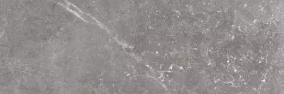 Pietra Antica Grigio 33.3x100