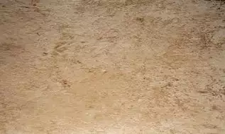 Pietra di Lecce Ambra 30x50