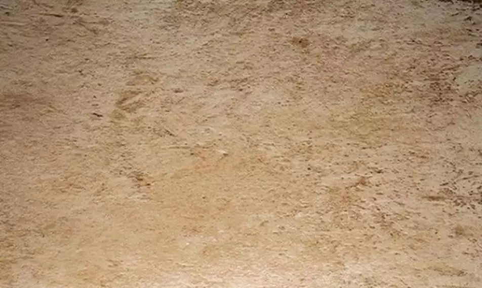 Pietra di Lecce Ambra 30x50