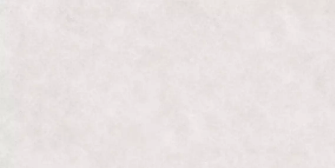 Pigmento Bianco Matt 120х60