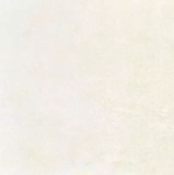 Platinum Rett 59.9х59.9