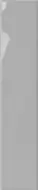 Plinto Grey Gloss 10.7x54.2