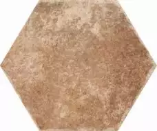 Pompeia Marron 20х24