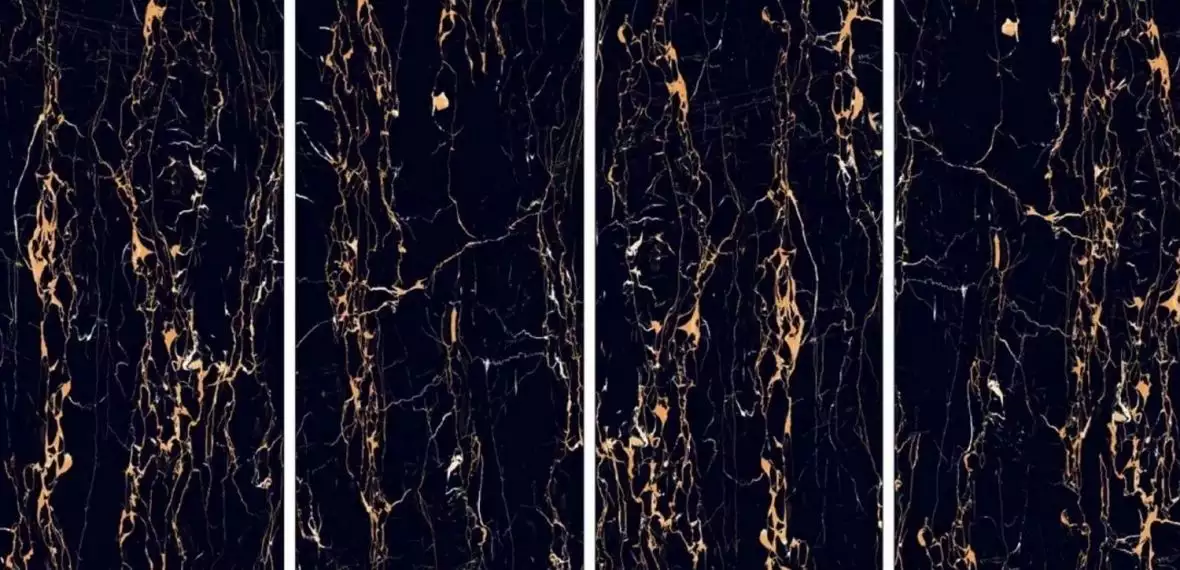 Portoro Gold High gloss 60*120