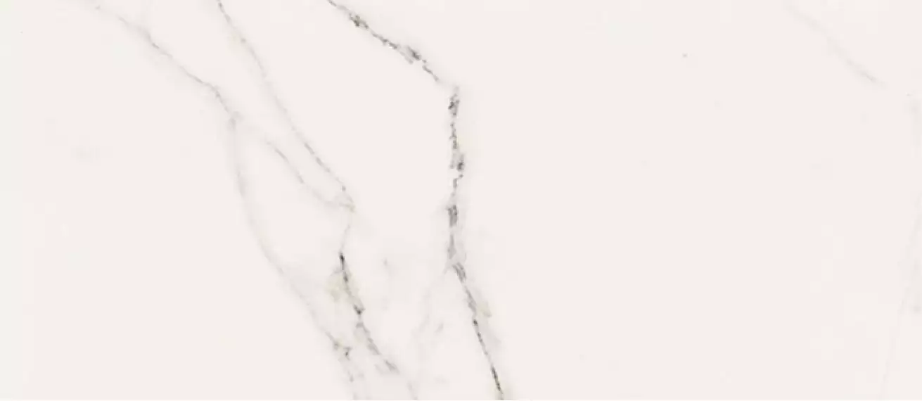 Precious Calacatta Rectificato 35x70
