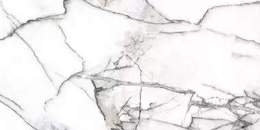 Premiere White Ep 60x120