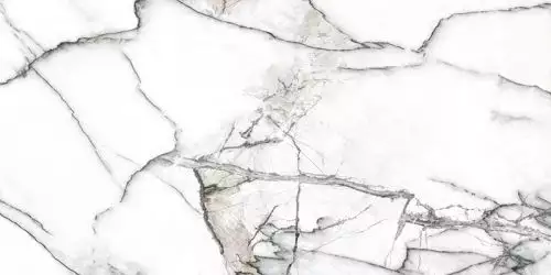Premiere White Ep 60x120
