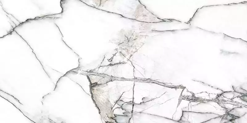 Premiere White Ep 60x120