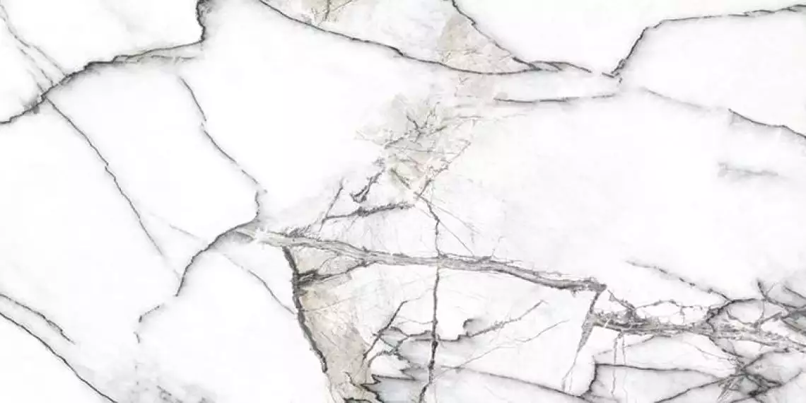 Premiere White Ep 60x120