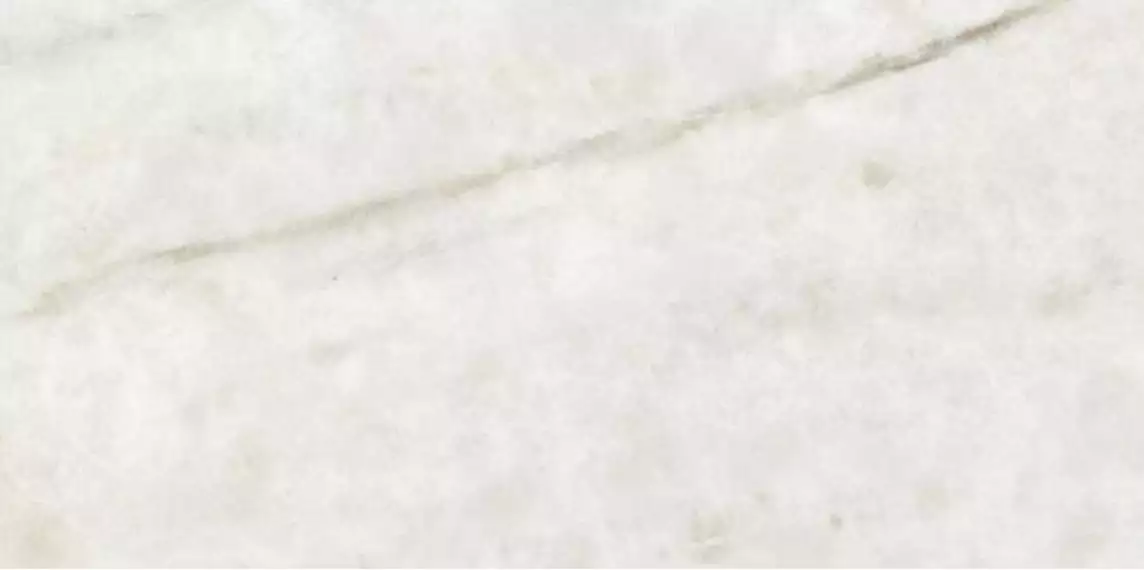 Prestige Natural Pulido Rect 60x120