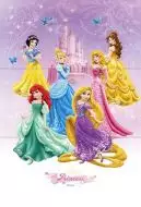 Princess 3A-V 30*60