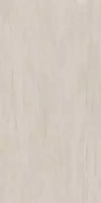 Prospect Ivory 120x240