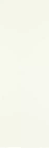 Pure City Bianco Rekt 29.8x89.8