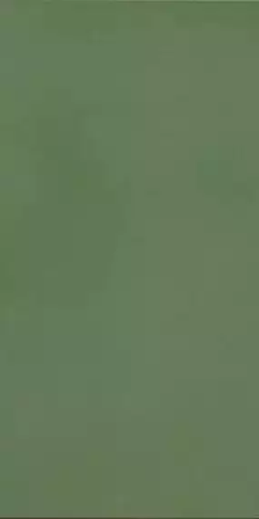 R-Evolution Green 36SC R10 60x120