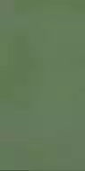 R-Evolution Green 9mm 60x120