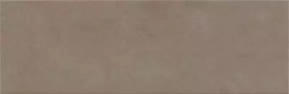 R02Z Flex Tabacco 25x76