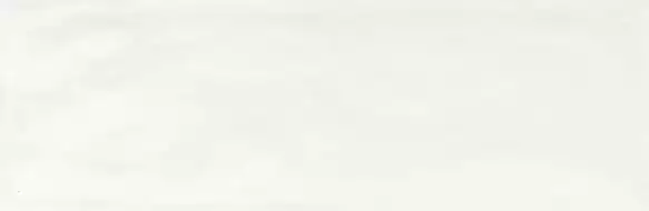 R4GJ Brick Glossy White 10x30