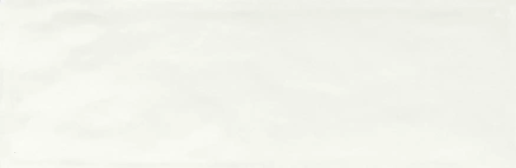 R4GJ Brick Glossy White 10x30