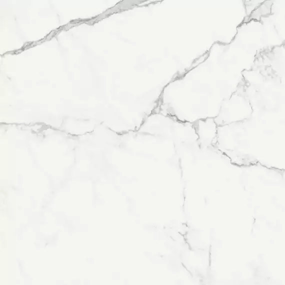 R72Y Statuarietto Glossy Rettificato 58x58
